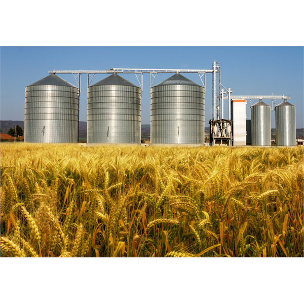 distanziometri laser per applicazioni di misura di livello in serbatoi e silos di frumento