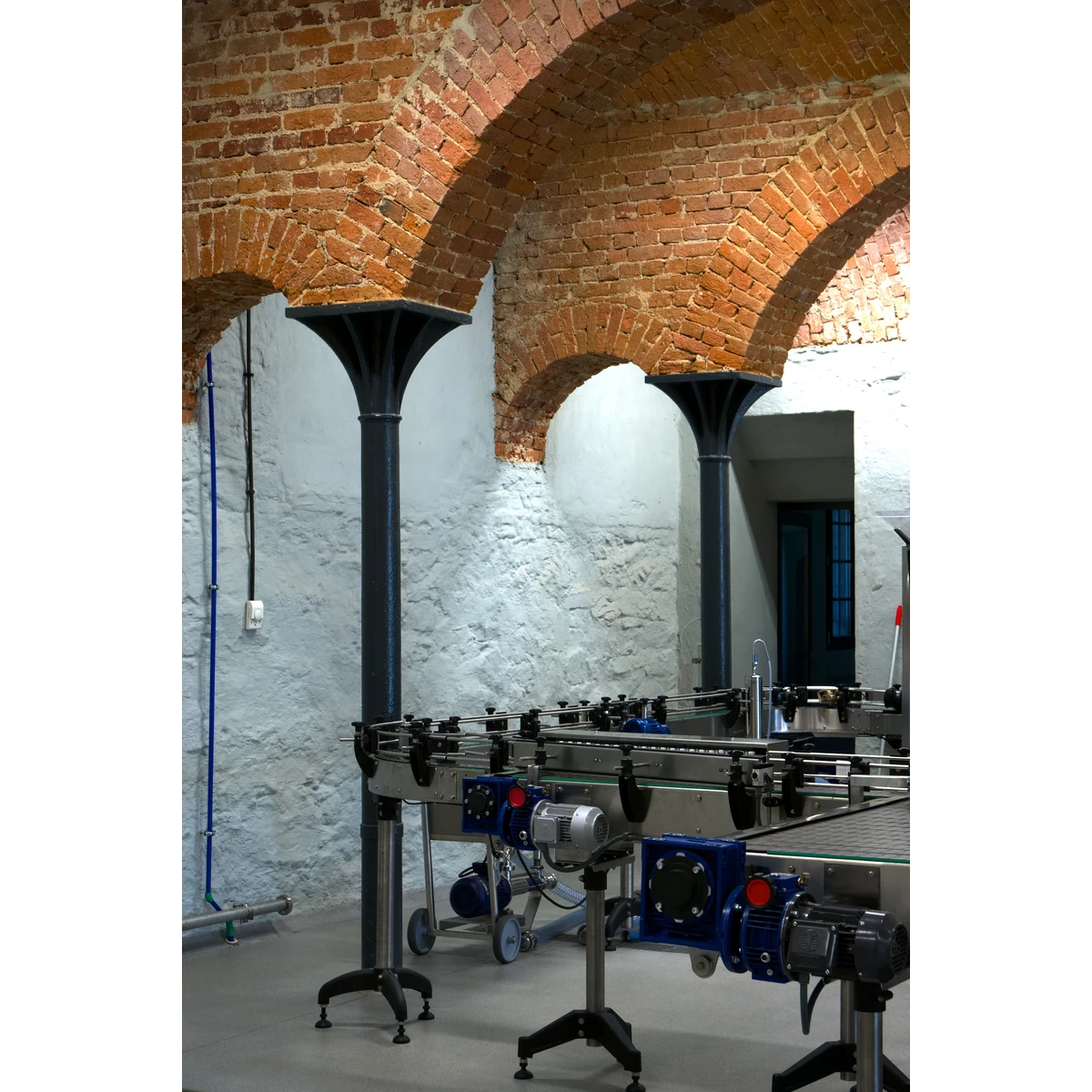 Linea imbottigliamento in cantina